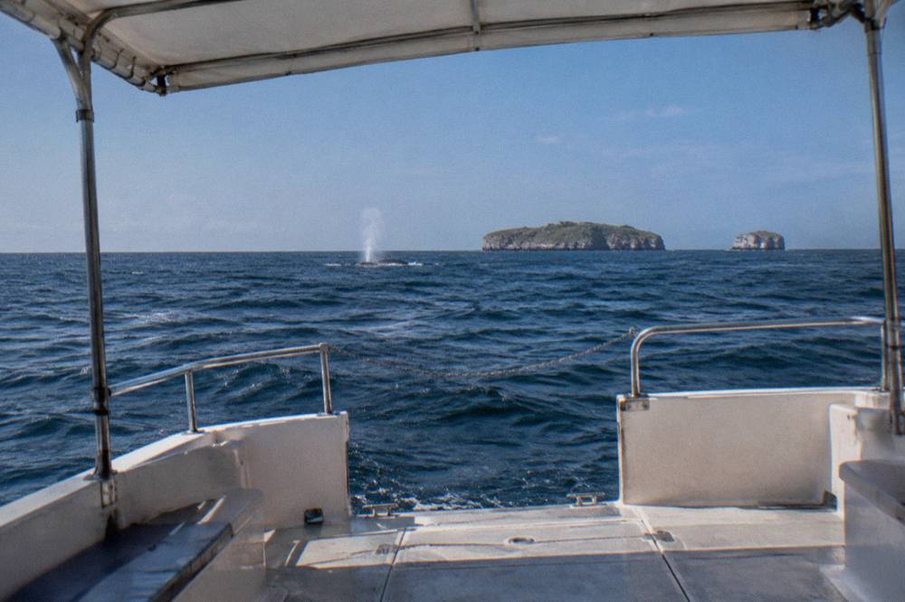 A boat crossing open blue water with a whale spout visible in the distance