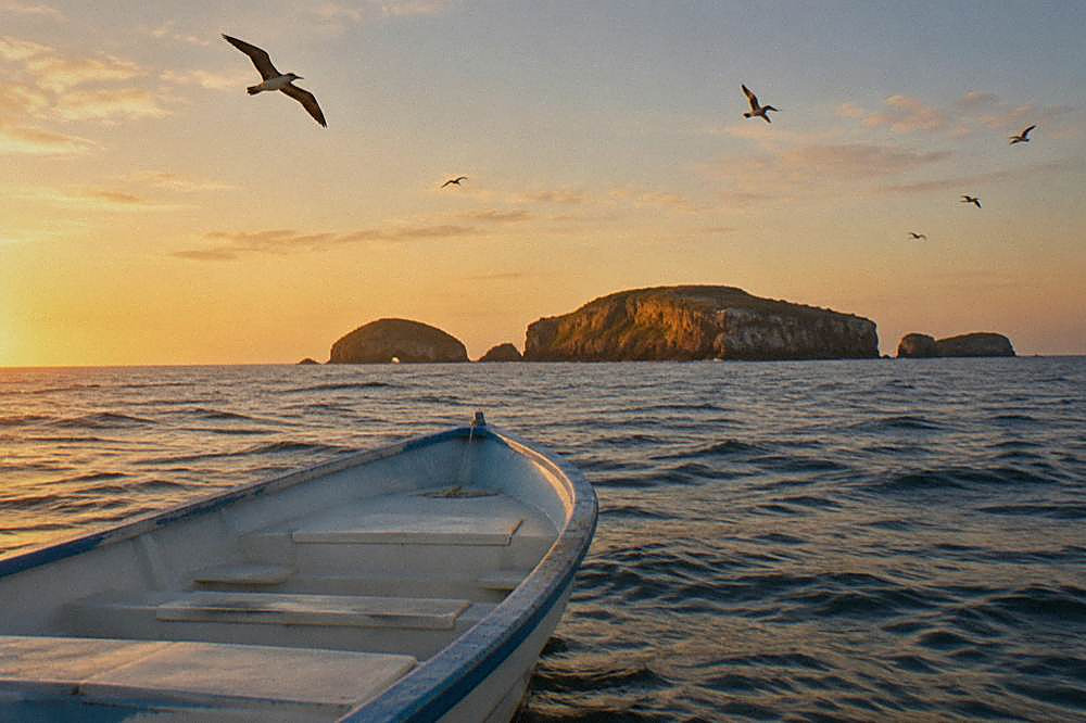 Bow of a white boat on calm ocean with seabirds flying toward distant islands