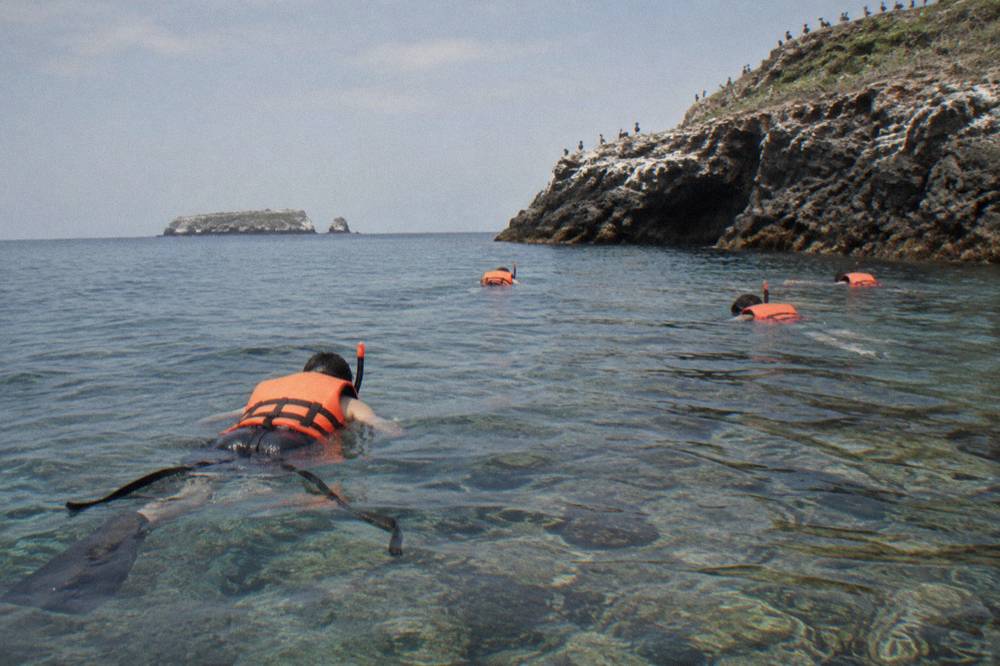 Snorkelers in orange life jackets swimming beside a rocky seabird cliff with a distant island