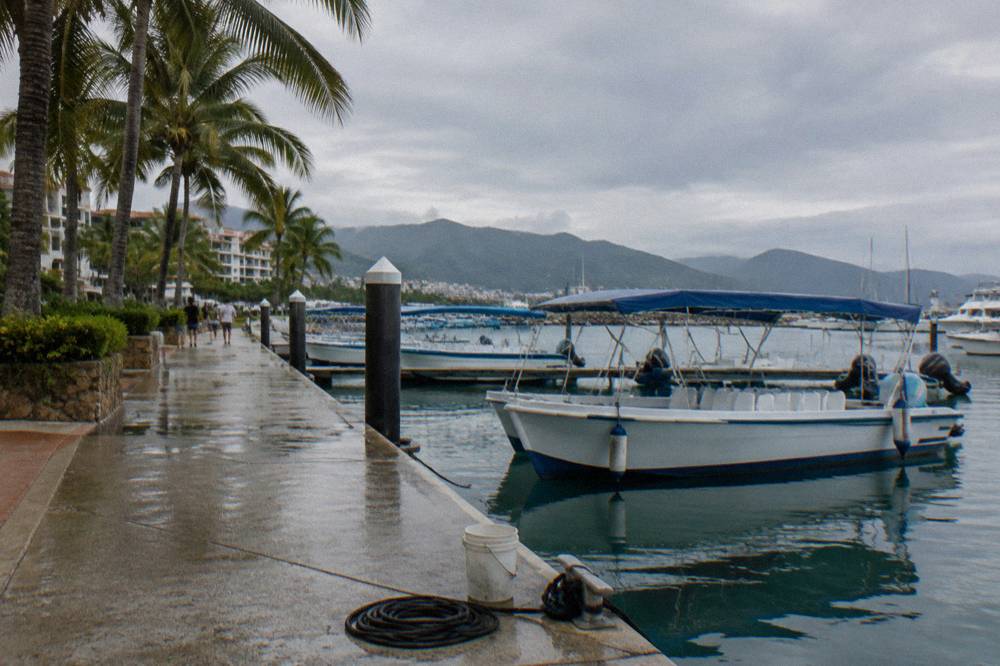 A city waterfront with a long boardwalk, palm trees and boats in a marina