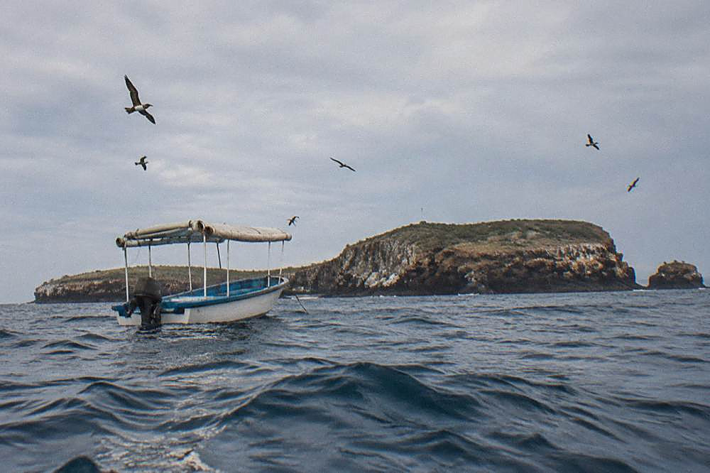 A canopy-covered boat floating near a rocky island with seabirds flying overhead