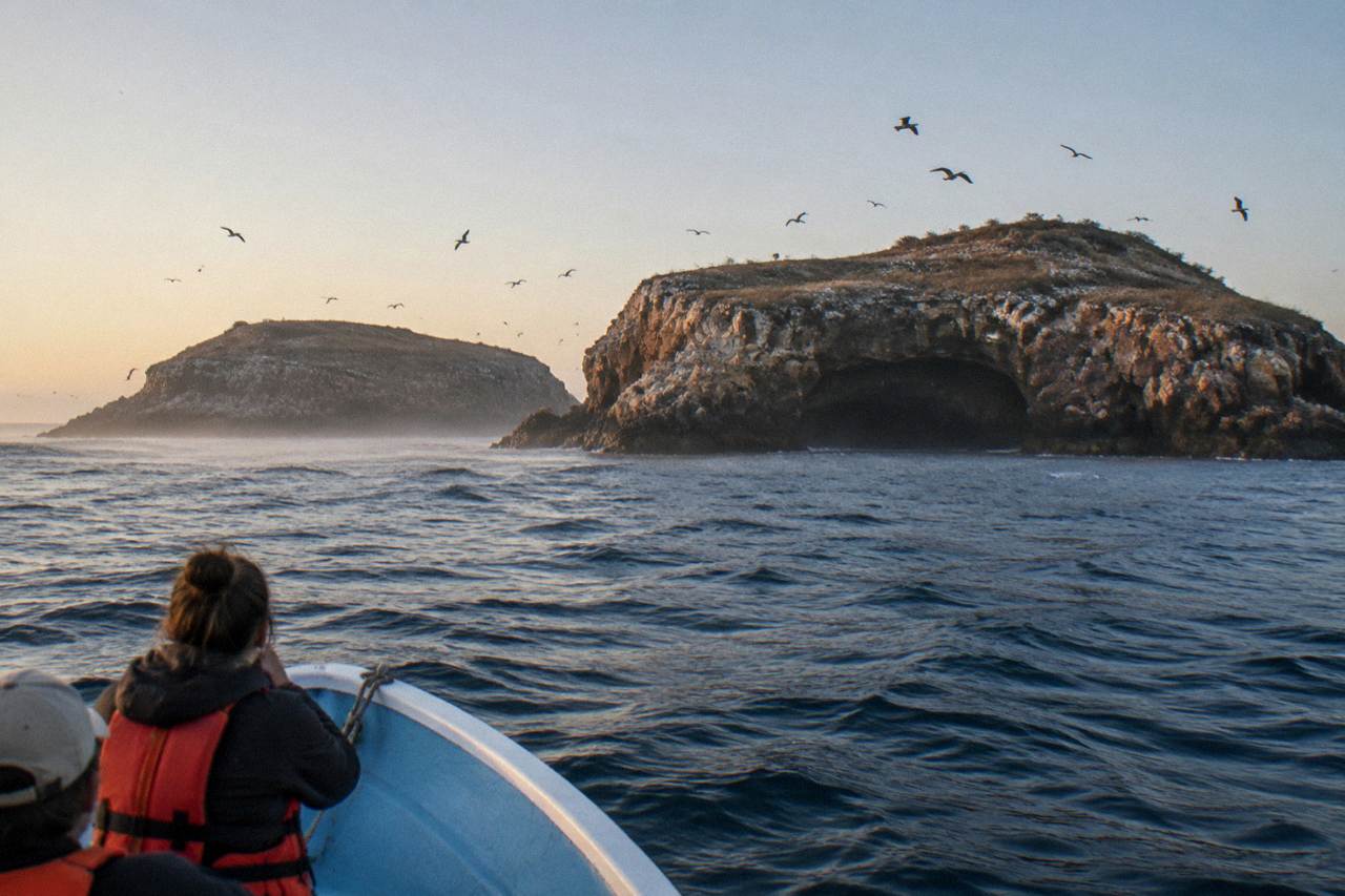 Rocky volcanic islands rising from blue ocean water with seabirds circling the cliffs