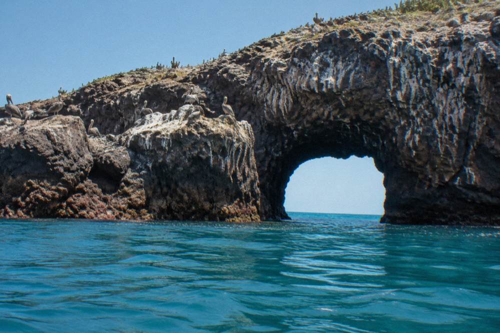 Pelicans perched on a rocky ocean arch above turquoise sea and clear sky