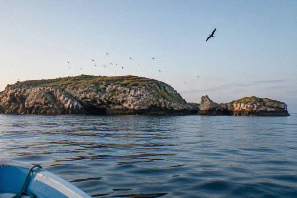 Rocky cliffs of the Marietas Islands rising from calm blue water with seabirds circling