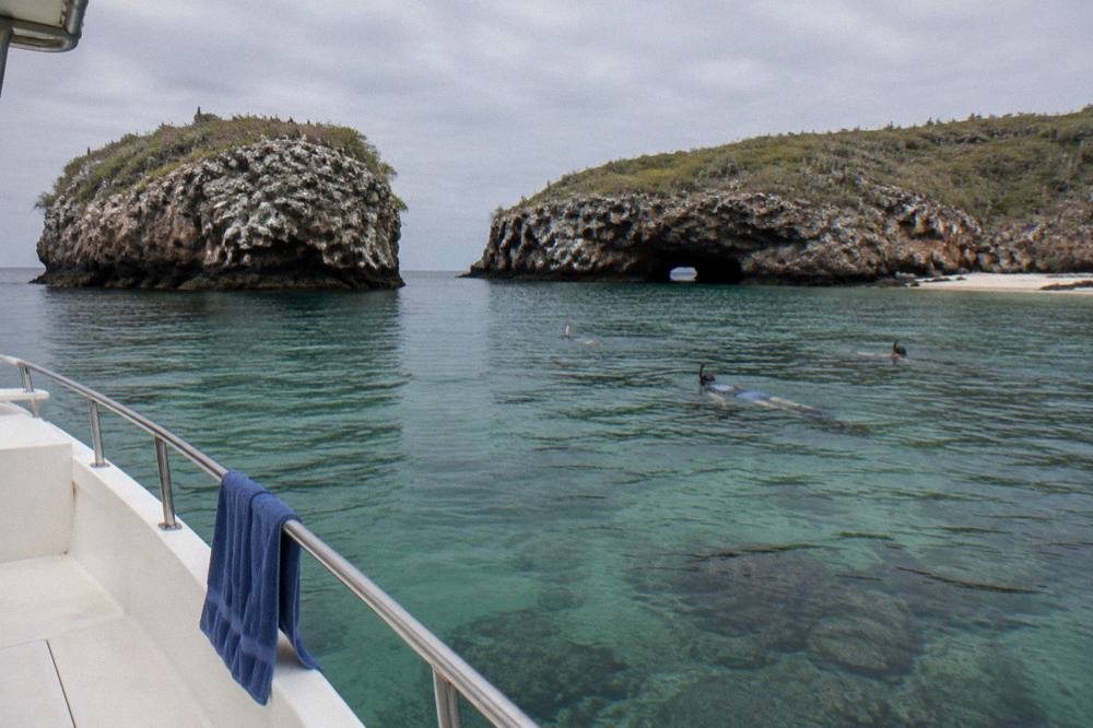 Snorkelers swimming in clear green water near vegetated rocky islets with a tunnel