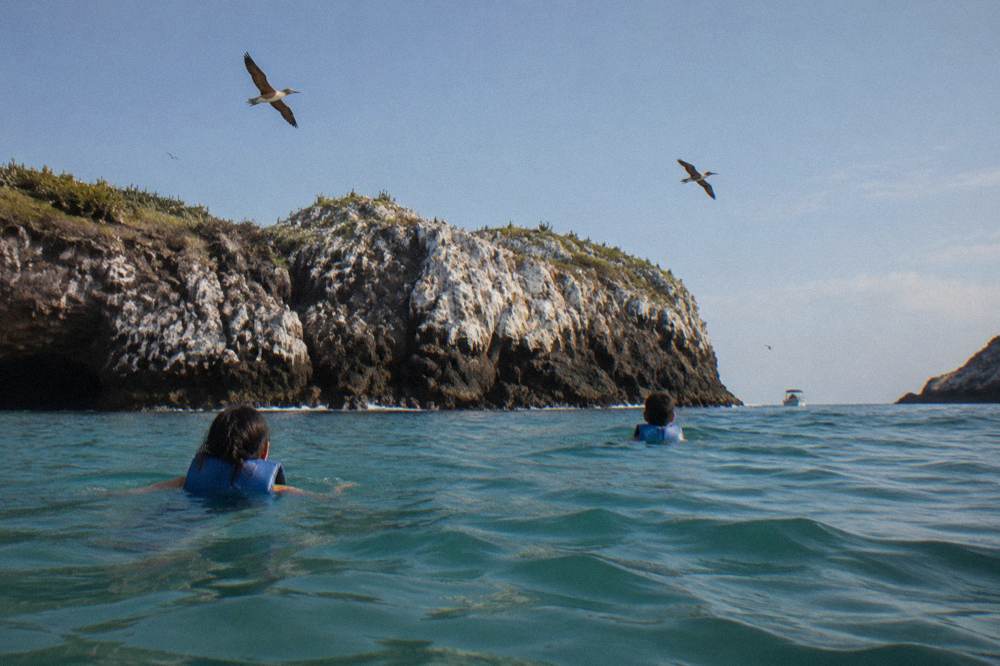 Two swimmers in blue life jackets floating near a guano-covered rocky island with seabirds