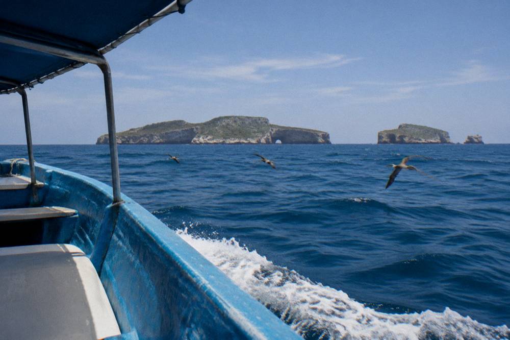 View from a moving boat toward rocky offshore islands with a rock arch and seabirds