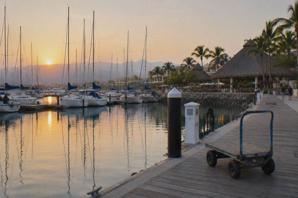 Sailboats moored at a calm marina beside a wooden pier with palm trees