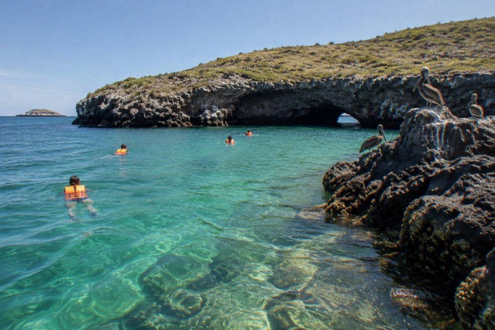 Swimmers in orange life jackets swimming toward a rock arch with pelicans on dark rocks
