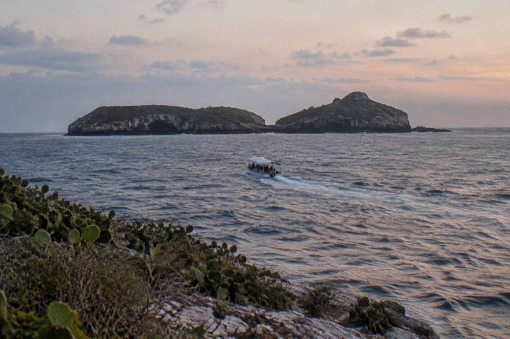 A small tour boat crossing open water toward distant rocky islands with cacti in foreground