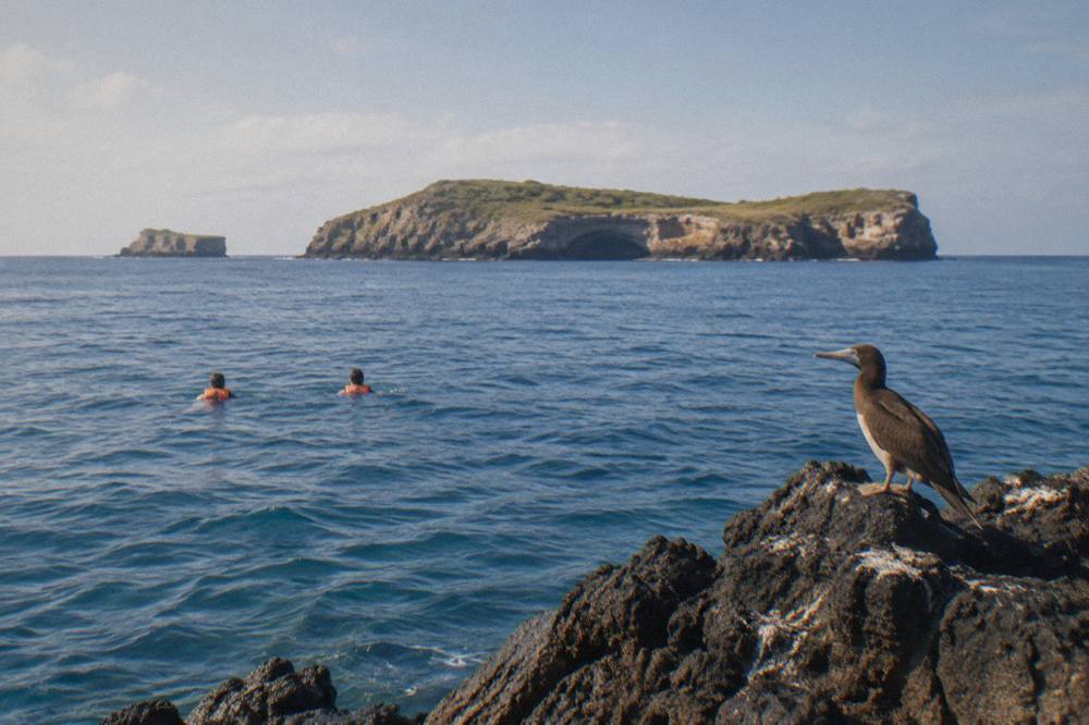 Two swimmers in orange life vests floating near dark rocks and a distant sea arch