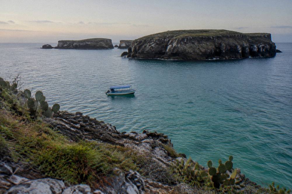 A small tour boat in turquoise water below a cactus-covered cliff with distant islands