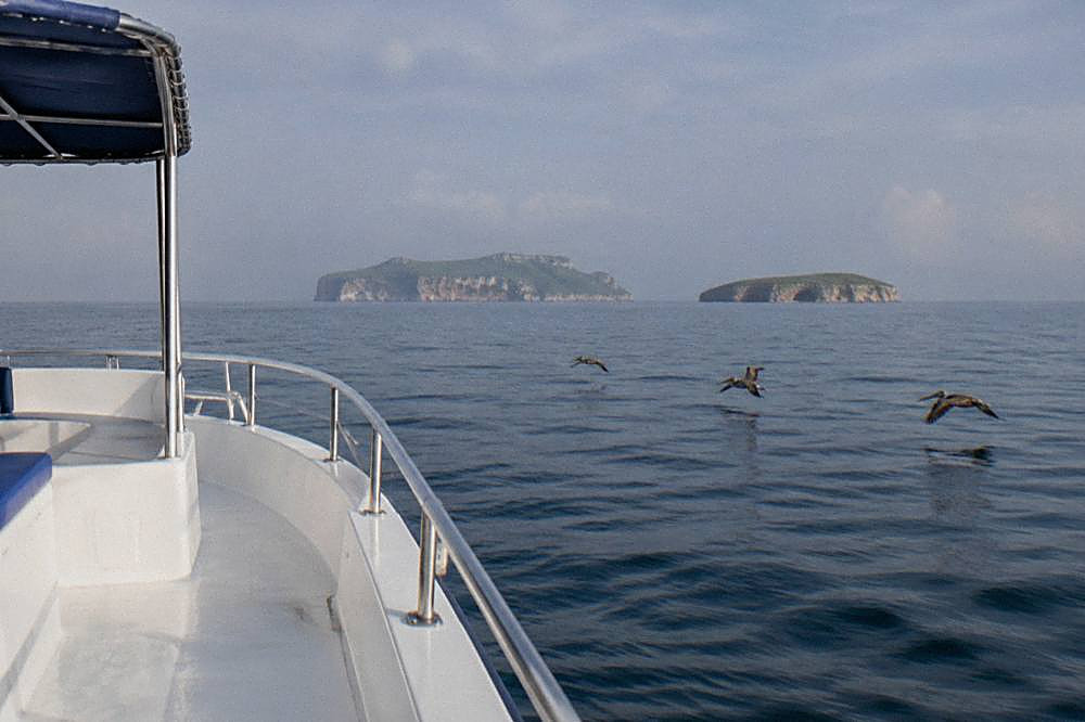 Pelicans flying over a calm ocean with hazy islands on the horizon