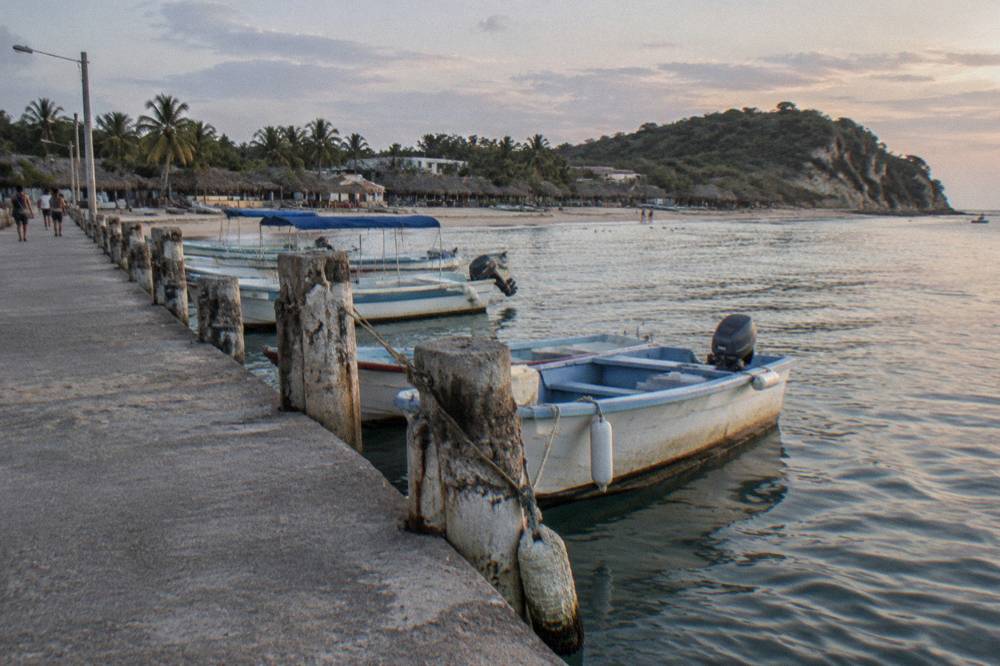 Fishing boats moored at a small pier beside a palm-lined beach village