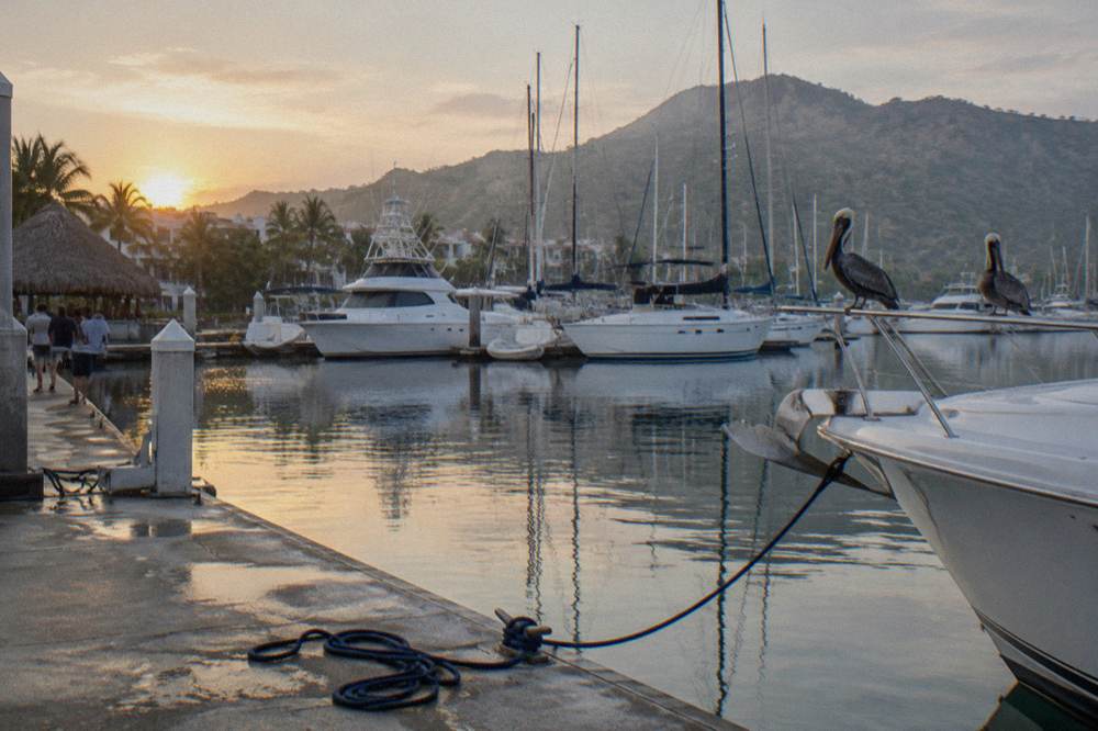 Two pelicans perched on a boat railing with sailboats and mountains behind