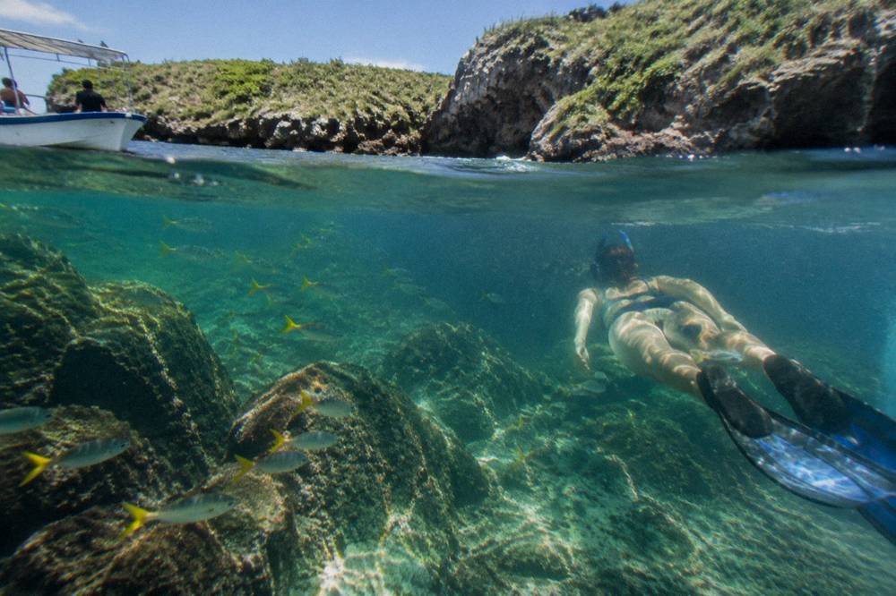 Snorkeler floating above a rocky reef with fish in clear sunlit water