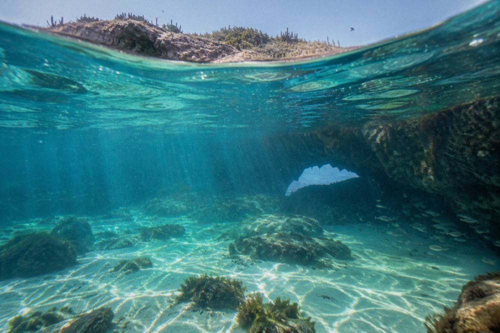 Split-level view of a clear turquoise bay with a rocky islet and fish