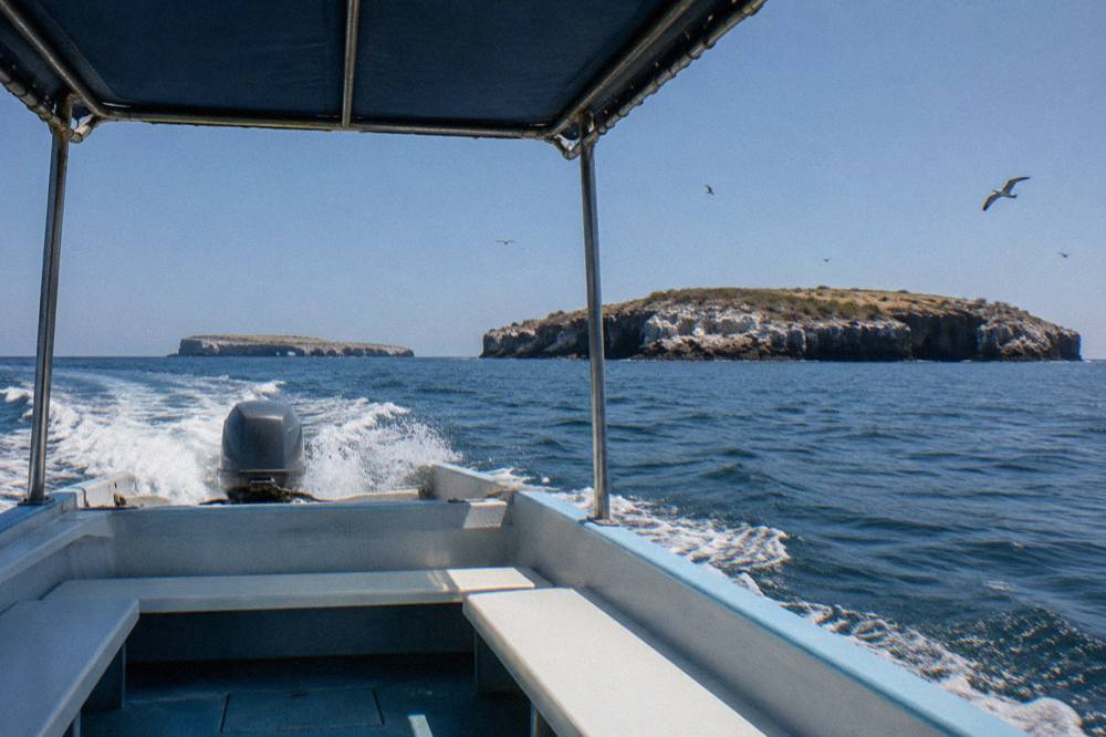 Stern view of a moving boat with wake heading toward rocky islands under seabirds