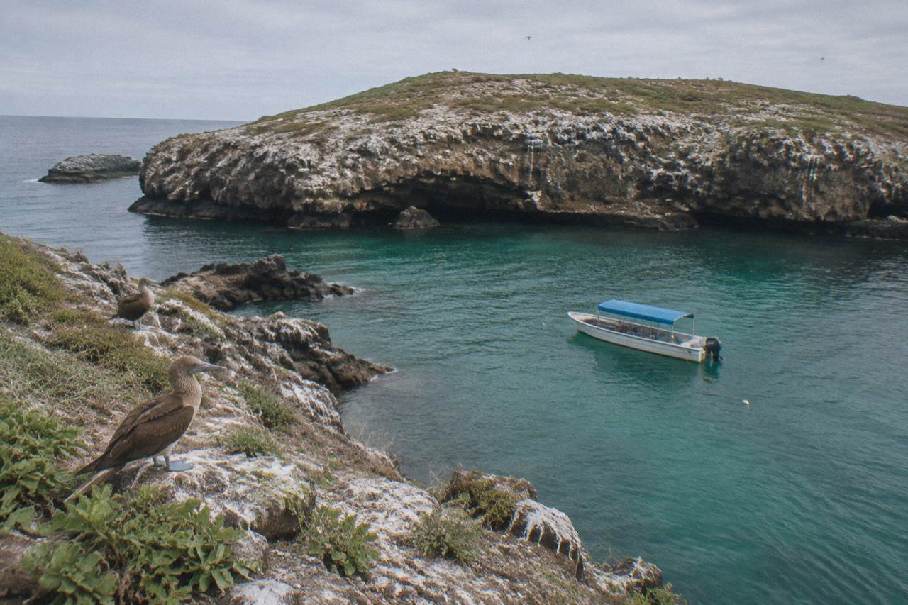 Two blue-footed boobies perched on a rocky ledge above a turquoise cove with a boat