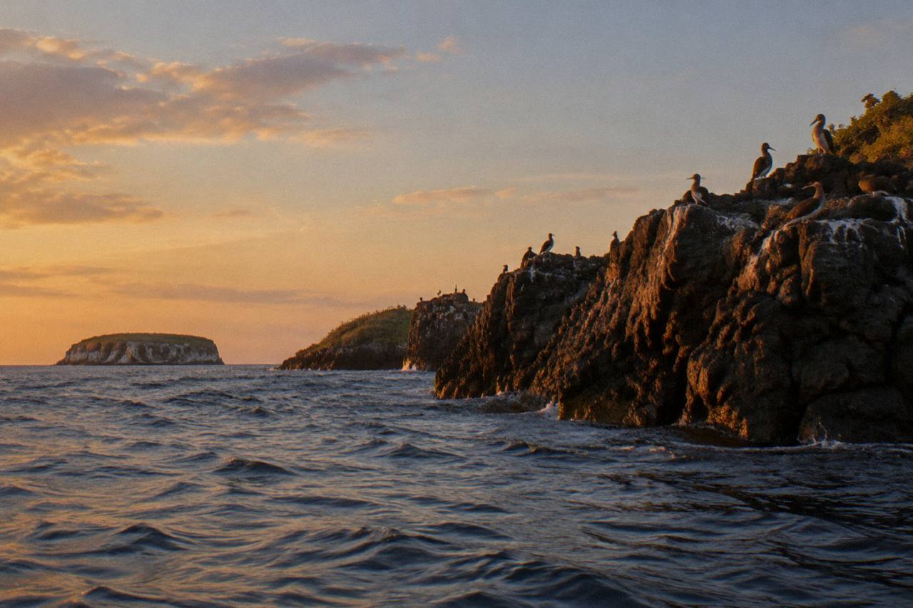 Seabirds perched on a rocky cliff above ocean waves, distant islands on horizon